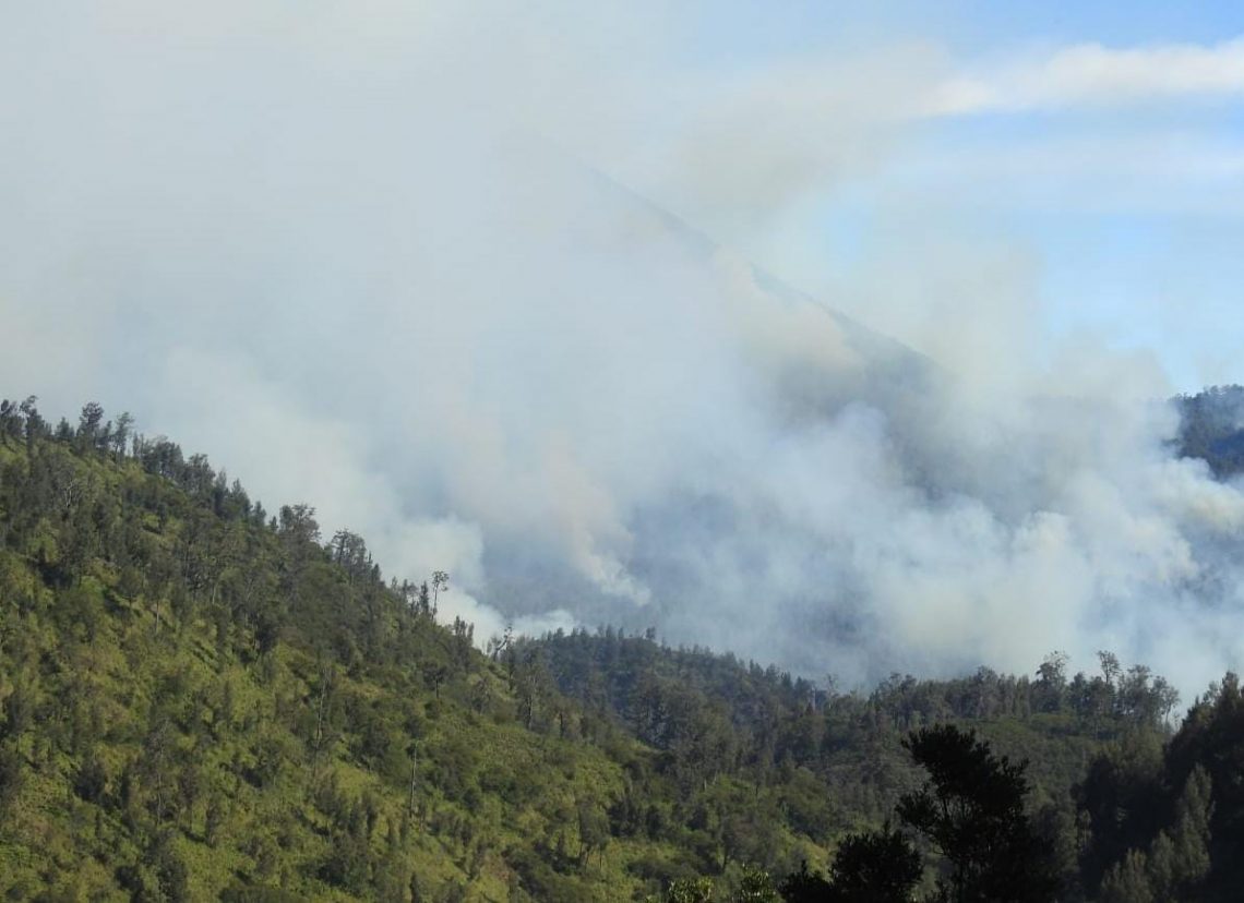 Kebakaran di Hutan Dekat Ranu Kumbolo, TNBTS: Kami Isolir Agar Tak Meluas 1 kebakaran semeru tugu jatim