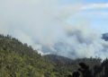 kebakaran semeru tugu jatim