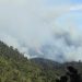 kebakaran semeru tugu jatim