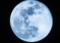 blue moon tugu jatim