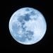 blue moon tugu jatim