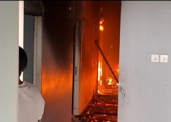 Fenomena El Nino, Jumlah Kebakaran di Tuban Meningkat