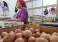 Harga telur.