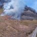 Kebakaran Savana Gunung Bromo, Pengelola TNBTS Pastikan Aktivitas Wisatawan Tak Terganggu 8 Kebakaran savana.
