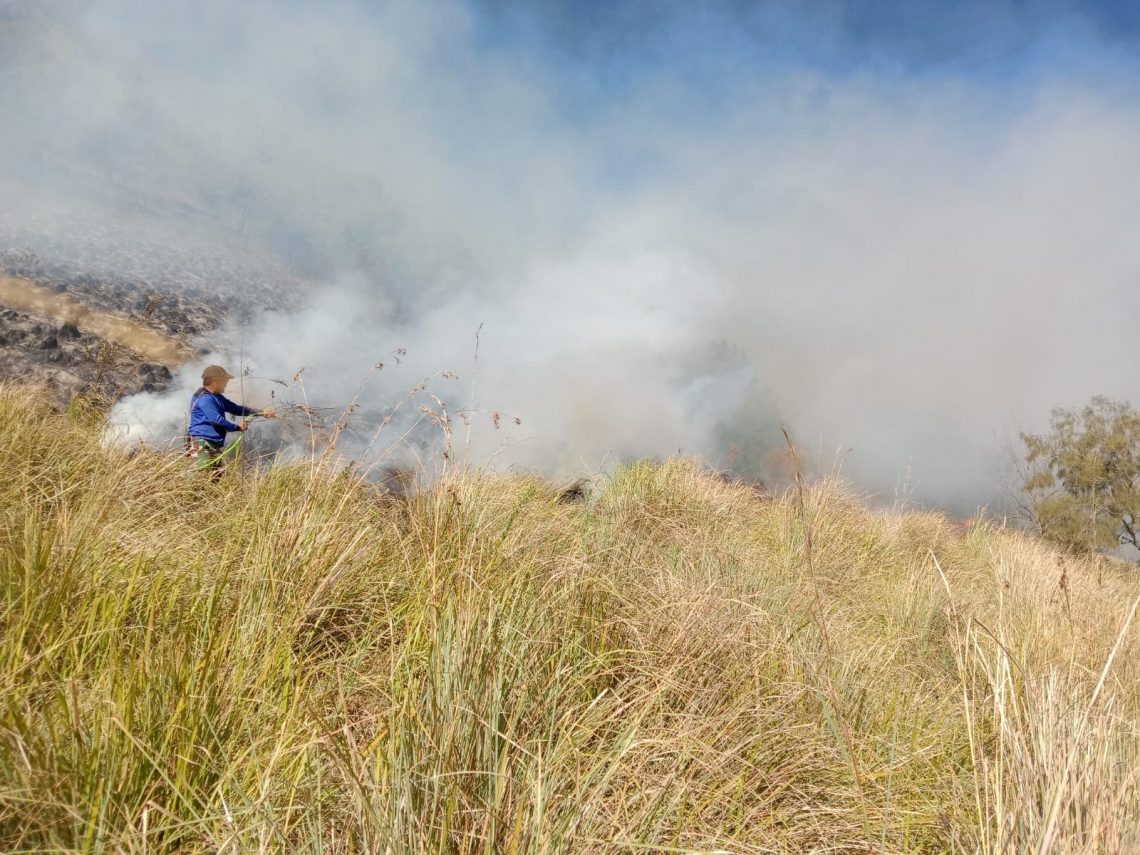 Savana Gunung Bromo Masih Membara, TNBTS Identifikasi Penyebab Kebakaran Lahan 1 Savana Gunung Bromo.