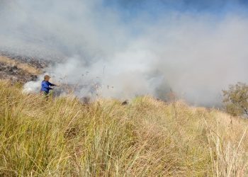 Savana Gunung Bromo.