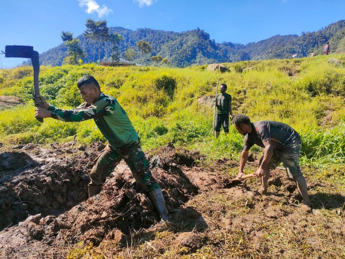 Abdikan Diri di Mbua, Satgas Yonif PR 433/JS Ajari Warga Ilmu Pertanian Modern 1 Satgas Yonif PR 433/JS.