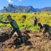Abdikan Diri di Mbua, Satgas Yonif PR 433/JS Ajari Warga Ilmu Pertanian Modern 9 Satgas Yonif PR 433/JS.