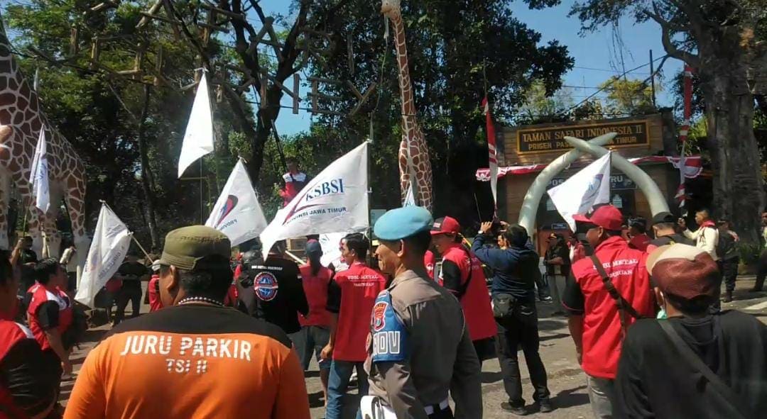 PHK 8 Pekerja, Taman Safari Indonesia di Prigen Pasuruan Didemo Serikat Buruh 1 Taman Safari.
