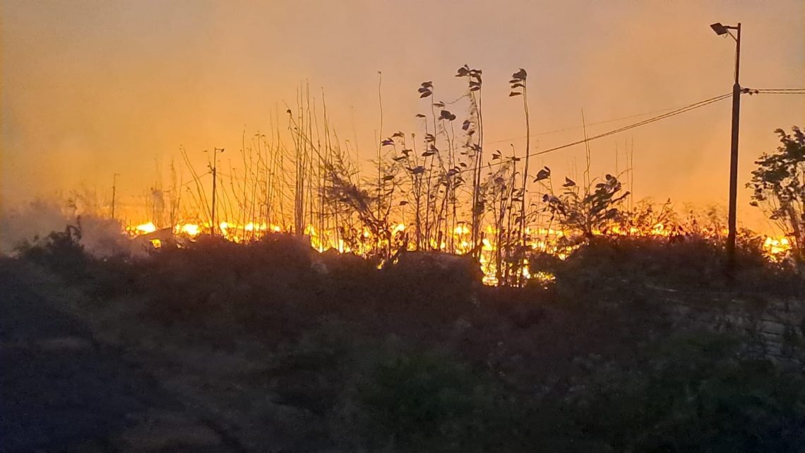 kekeringan dan kebakaran hutan.
