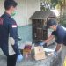 Sengaja Dibuang, Polisi Temukan Kertas Berisi Nama Mayat Bayi di Warung Kopi Prigen Pasuruan 8 Mayat bayi.