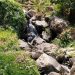 Unik! Air Terjun Watu Kodok Mojokerto Berbentuk Terasering 8 Air Terjun Watu Kodok.