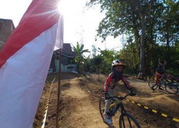 Sirkuit BMX.