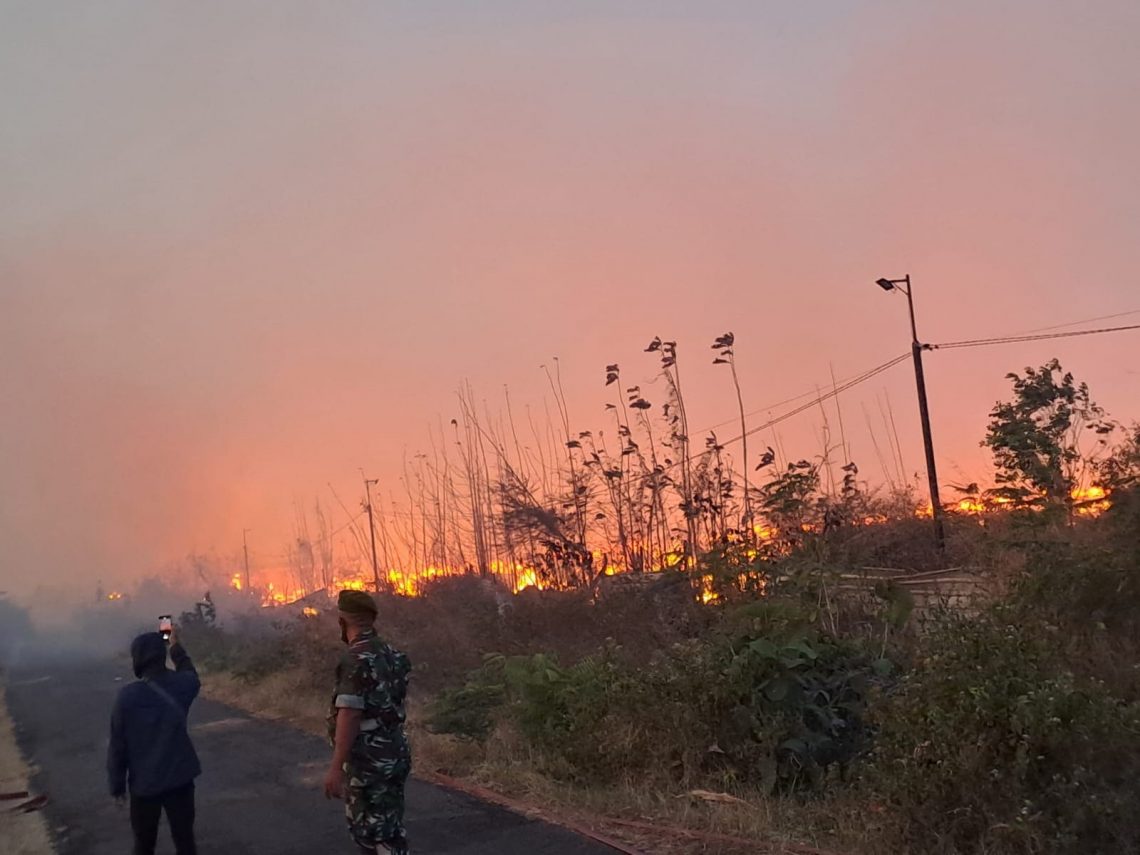 PT KPI GRR Tuban Fokus Tanggulangi Kebakaran Lahan di Lahan Proyek Kilang Minyak 1 kilang minyak.