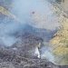 Kebakaran Bromo.