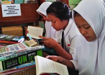 Rapor pendidikan.