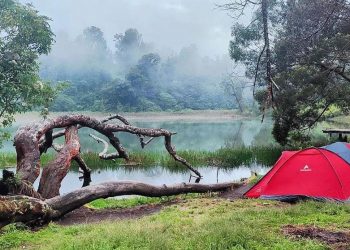 Pendakian Semeru.
