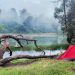 Pendakian Semeru Masih Ditutup, Ini 2 Spot Wisata di Lerengnya yang Bisa Kamu Kunjungi 9 Pendakian Semeru.
