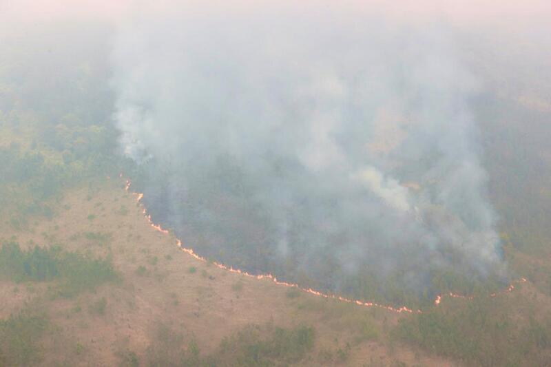 Kebakaran hutan di Pasuruan.