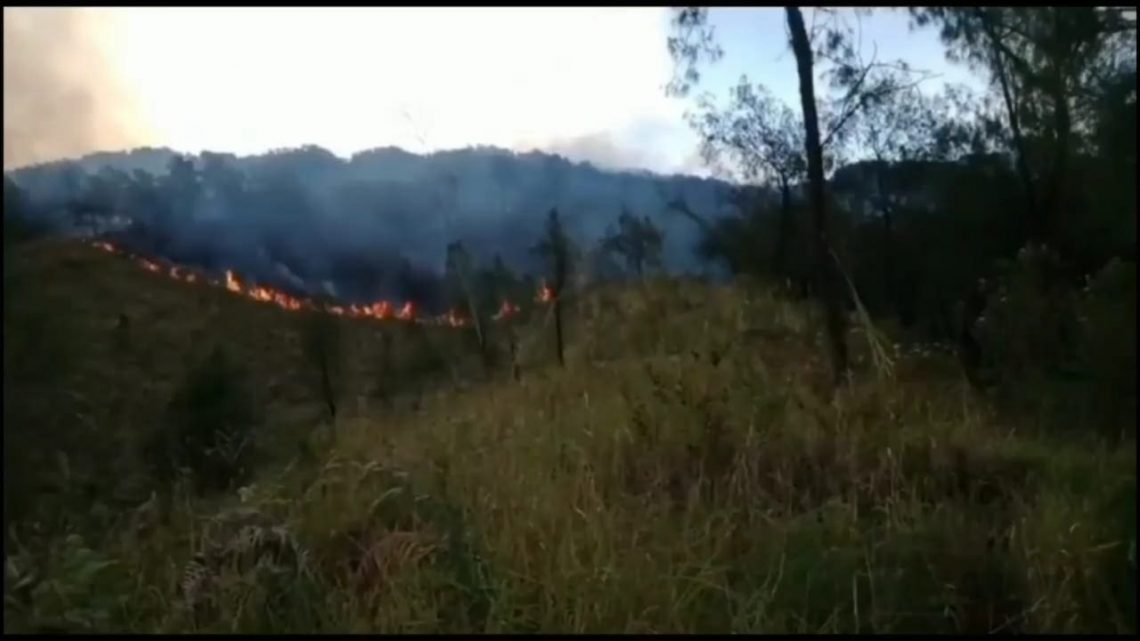 Kebakaran hutan Gunung Arjuno.