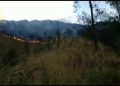 Kebakaran hutan Gunung Arjuno.
