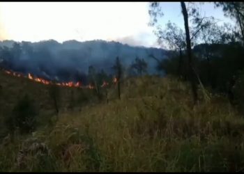 Kebakaran hutan Gunung Arjuno.