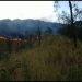 Kebakaran hutan Gunung Arjuno.