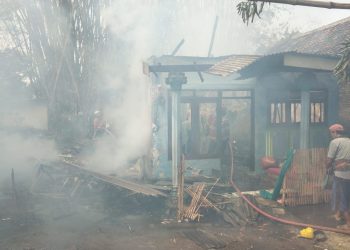 Kebakaran kandang.