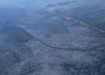 Kebakaran Bromo di Tosari Pasuruan Terkendali, Sisakan Hamparan Tanaman Endemik Hangus Menghitam 1 Kebakaran Bromo.