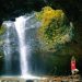 Air Terjun Antrukan Pawon Lumajang Tiket Masuk Gratis, Nikmati Eksotisnya Coban di Dalam Gua 11 Air Terjun Antrukan Pawon.