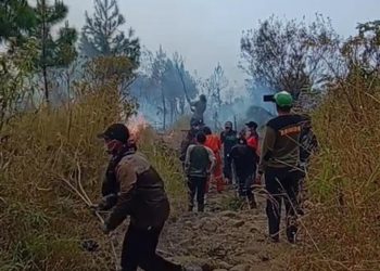 Kebakaran hutan Arjuno.
