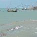 pantai talang siring tugu jatim