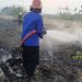 5 Hektare Lahan Kilang Minyak di Tuban Terbakar