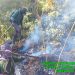 gunung welirang tugu jatim