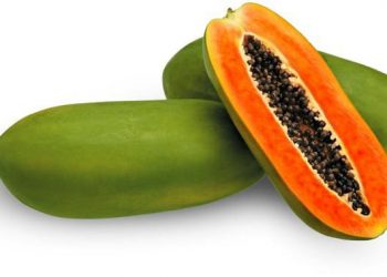 5 Jenis Buah Untuk Memperlancar Buang Air Besar