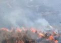 Kebakaran Gunung Bromo, Api di Bukit Keciri Pasuruan Belum Padam
