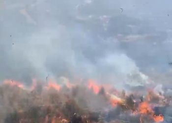 Kebakaran Gunung Bromo, Api di Bukit Keciri Pasuruan Belum Padam