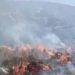 Kebakaran Gunung Bromo, Api di Bukit Keciri Pasuruan Belum Padam