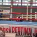 Petinju Bondowoso Meninggal, Kejuaraan Tinju Porprov Jatim Dihentikan 8 petinju bondowoso meninggal tugu jatim