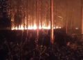 Setengah Hektare Lahan Alas Pakah Tuban Terbakar