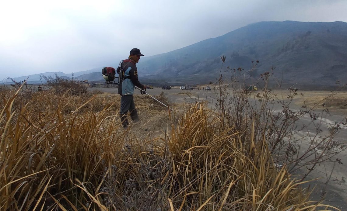 tengger tugu jatim