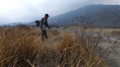 tengger tugu jatim