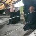 Kakek 78 Tahun Ditangkap Terkait Perusakan Mobil Dinas Ketua Bawaslu Kota Pasuruan 8 Kakek 78 Tahun Ditangkap Terkait Perusakan Mobil Dinas Ketua Bawaslu Kota Pasuruan