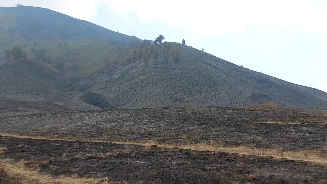 Kondisi Bukit Teletubies yang menghitam akibat kebakaran Gunung Bromo. Foto: Laoh Mahfud/Tugu Jatim