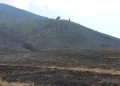Tumpukan Biomassa Perparah Kebakaran Gunung Bromo