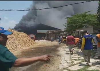Pabrik Serbuk Kayu di Pasuruan Terbakar, Warga Panik Api Dekat Permukiman