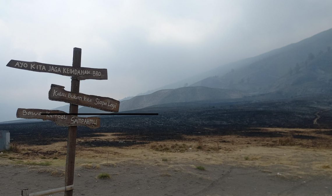 Kondisi lokasi titik awal kebakaran Gunung Bromo di Bukit Teletubies yang menghitam. Foto: Laoh Mahfud/Tugu Jatim