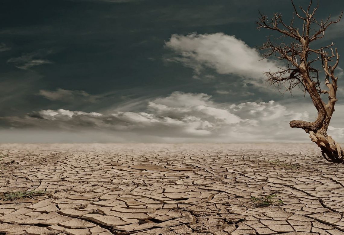 Antisipasi El Nino, Kabupaten Tuban Bakal Tanam Padi Seluas 4.856 Hektare 1 Tanam padi.