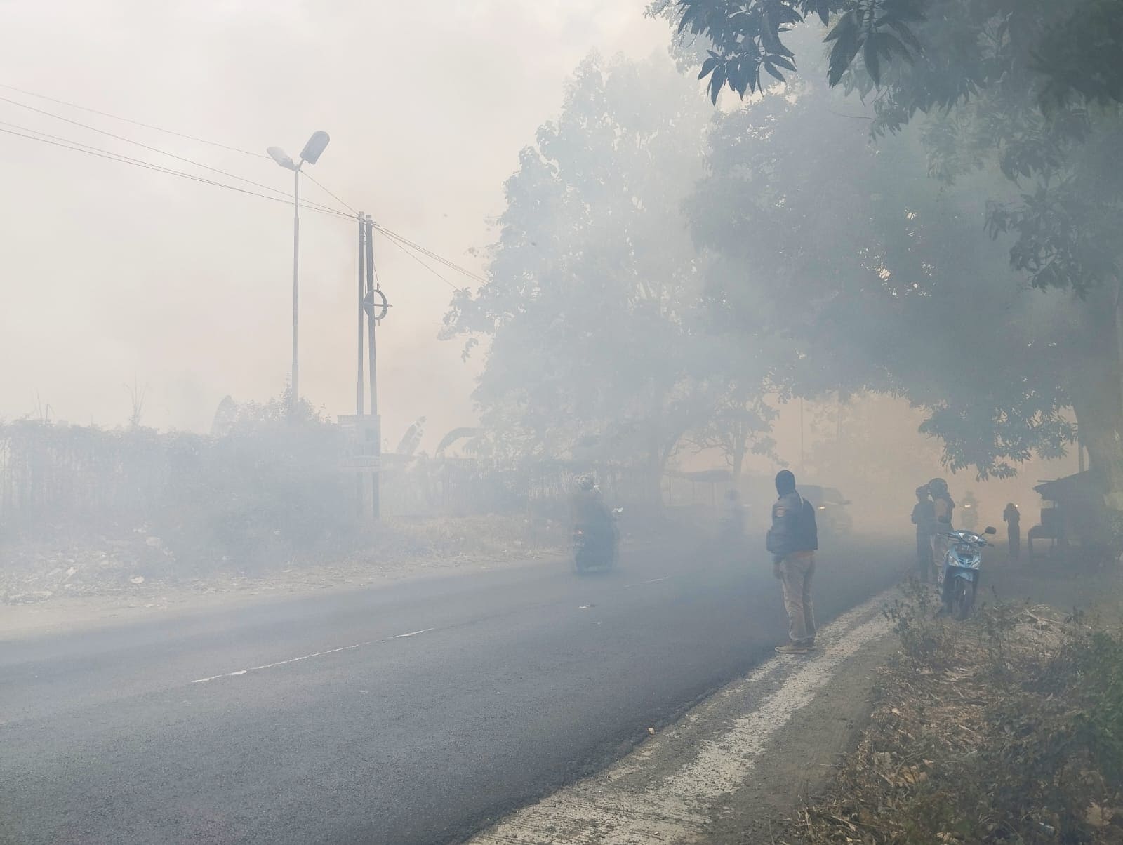 Berita asap tebal di Mojokerto.