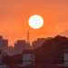 Suhu Terpanas 2023 Rekor selama 142 Tahun Terakhir, NASA: Puncak Dampak El Nino Terjadi 2024 8 Suhu terpanas.
